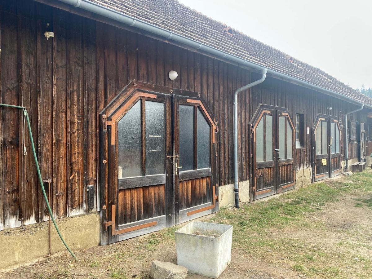 Apartamento Bio Hofgut Wiggenweiler Bermatingen Exterior foto